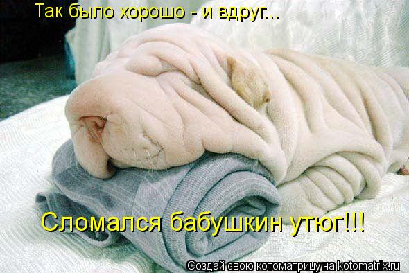 Так было хорошо - и вдруг... Сломался бабушкин утюг!!!... Котоматрица: Так было хорошо - и вдруг... Сломался бабушкин утюг!!!