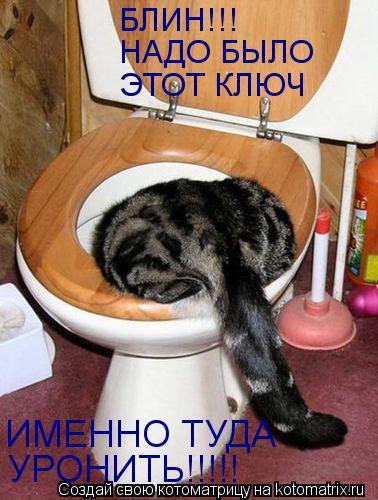 БЛИН!!! НАДО БЫЛО ЭТОТ КЛЮЧ ИМЕННО ТУДА УРОНИТЬ!!!!!... Котоматрица: БЛИН!!! НАДО БЫЛО ЭТОТ КЛЮЧ ИМЕННО ТУДА УРОНИТЬ!!!!!