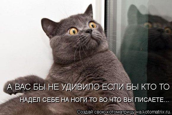А ВАС БЫ НЕ УДИВИЛО ЕСЛИ БЫ КТО ТО НАДЕЛ СЕБЕ НА НОГИ ТО ВО ЧТО ВЫ ПИСАЕТЕ...... Котоматрица: А ВАС БЫ НЕ УДИВИЛО ЕСЛИ БЫ КТО ТО НАДЕЛ СЕБЕ НА НОГИ ТО ВО ЧТО ВЫ ПИСАЕТЕ...