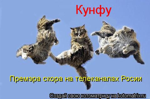 Кунфу Премэра скора на телеканалах Росии... Котоматрица: Кунфу Премэра скора на телеканалах Росии