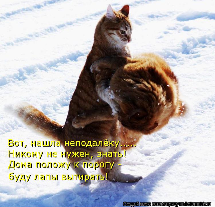 Вот, нашла неподалёку..... Никому не нужен, знать! Дома положу к порогу - буду лапы вытирать!... Котоматрица: Вот, нашла неподалёку..... Никому не нужен, знать! Дома положу к порогу - буду лапы вытирать!
