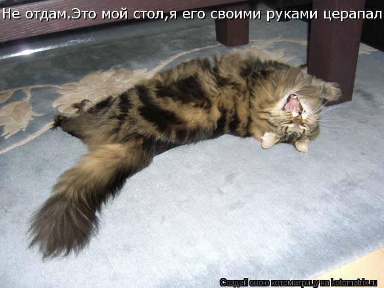 Не отдам.Это мой стол,я его своими руками церапал... Котоматрица: Не отдам.Это мой стол,я его своими руками церапал