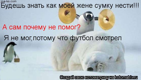 Будешь знать как моей жене сумку нести!!! Я не мог,потому что футбол смотрел А сам почему не помог?... Котоматрица: Будешь знать как моей жене сумку нести!!! Я не мог,потому что футбол смотрел А сам почему не помог?