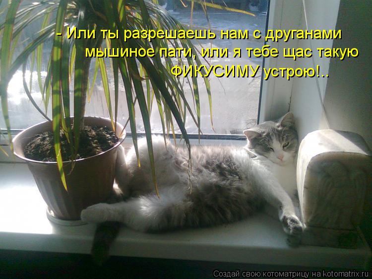- Или ты разрешаешь нам с друганами мышиное пати, или я тебе щас такую ФИКУСИМУ устрою!..... Котоматрица: - Или ты разрешаешь нам с друганами мышиное пати, или я тебе щас такую ФИКУСИМУ устрою!..