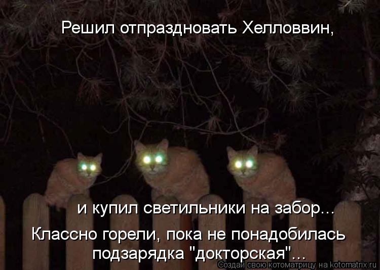 Решил отпраздновать Хелловвин, и купил светильники на забор... Классно горели, пока не понадобилась ... Котоматрица: Решил отпраздновать Хелловвин, и купил светильники на забор... Классно горели, пока не понадобилась подзарядка "докторская"...