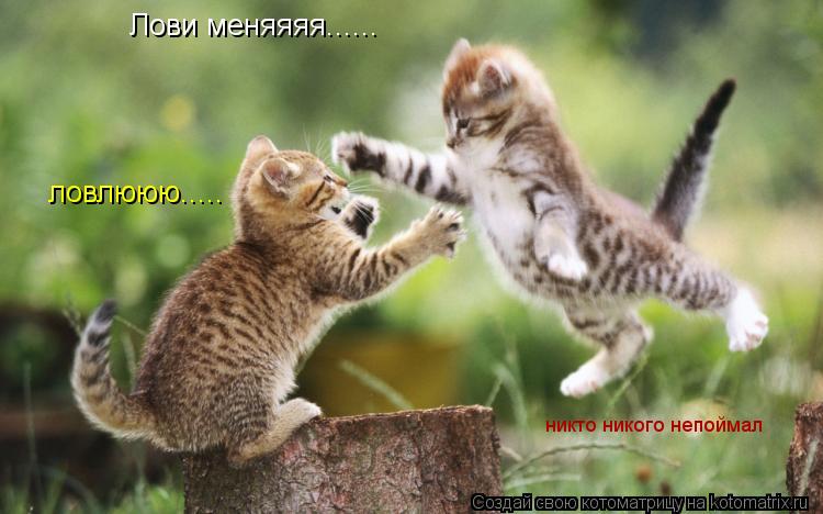 Лови меняяяя...... ловлююю..... никто никого непоймал... Котоматрица: Лови меняяяя...... ловлююю..... никто никого непоймал