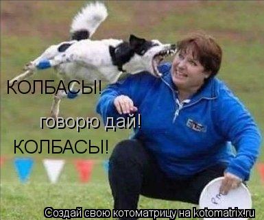 КОЛБАСЫ! говорю дай! КОЛБАСЫ!... Котоматрица: КОЛБАСЫ! говорю дай! КОЛБАСЫ!