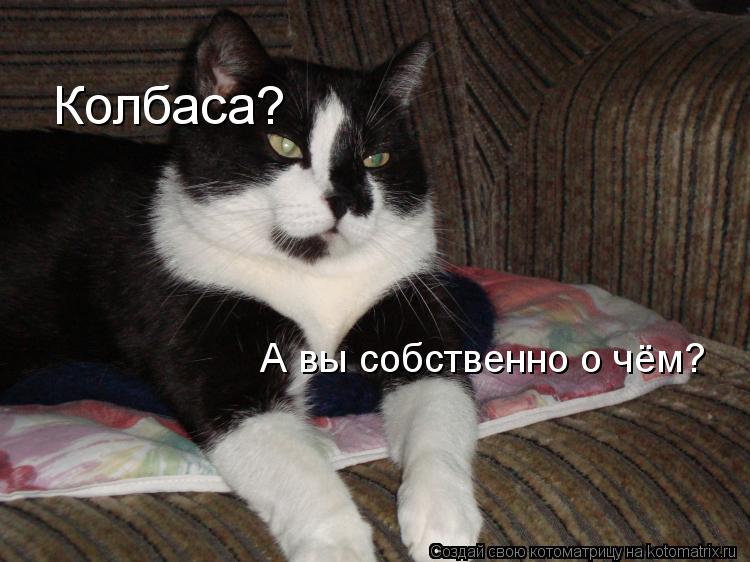 Колбаса? А вы собственно о чём?... Котоматрица: Колбаса? А вы собственно о чём?