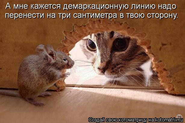 А мне кажется демаркационную линию надо перенести на три сантиметра в твою сторону.... Котоматрица: А мне кажется демаркационную линию надо перенести на три сантиметра в твою сторону.