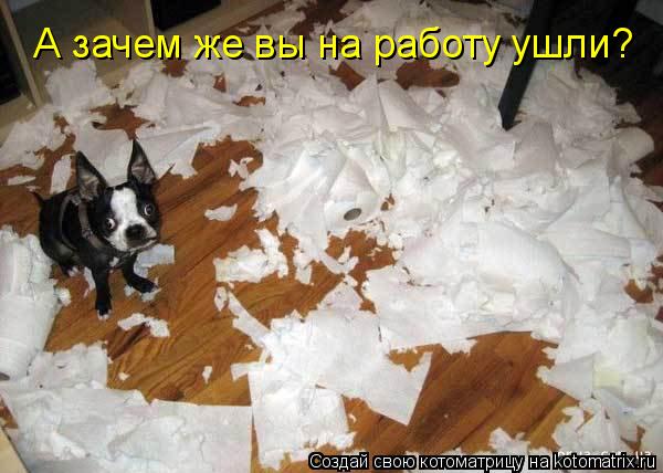 А зачем же вы на работу ушли?... Котоматрица: А зачем же вы на работу ушли?