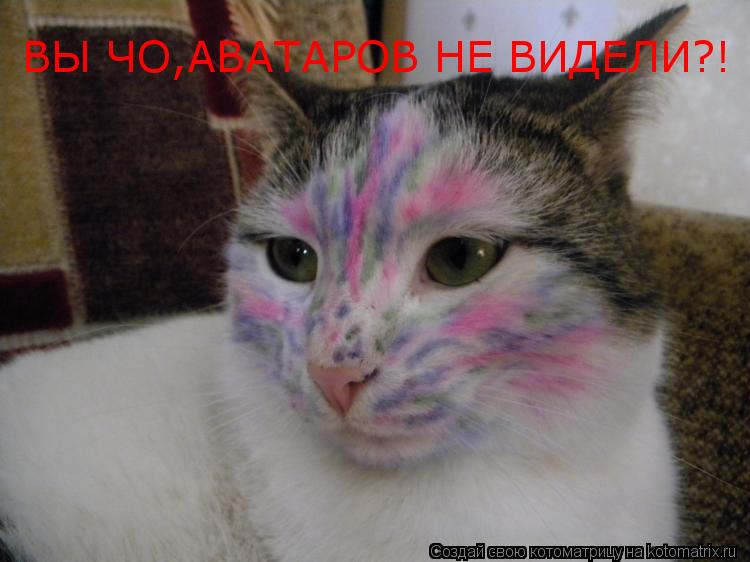ВЫ ЧО,АВАТАРОВ НЕ ВИДЕЛИ?!... Котоматрица: ВЫ ЧО,АВАТАРОВ НЕ ВИДЕЛИ?!