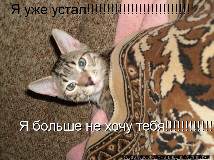 Я уже устал!!!!!!!!!!!!!!!!!!!!!!!!!! Я больше не хочу тебя!!!!!!!!!!!!!!!!!!!!!))... Котоматрица: Я уже устал!!!!!!!!!!!!!!!!!!!!!!!!!! Я больше не хочу тебя!!!!!!!!!!!!!!!!!!!!!))