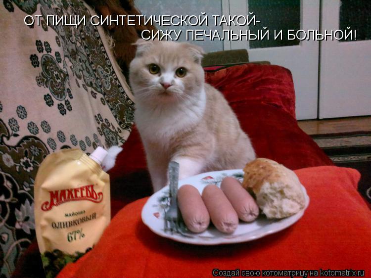 ОТ ПИЩИ СИНТЕТИЧЕСКОЙ ТАКОЙ- СИЖУ ПЕЧАЛЬНЫЙ И БОЛЬНОЙ!... Котоматрица: ОТ ПИЩИ СИНТЕТИЧЕСКОЙ ТАКОЙ- СИЖУ ПЕЧАЛЬНЫЙ И БОЛЬНОЙ!