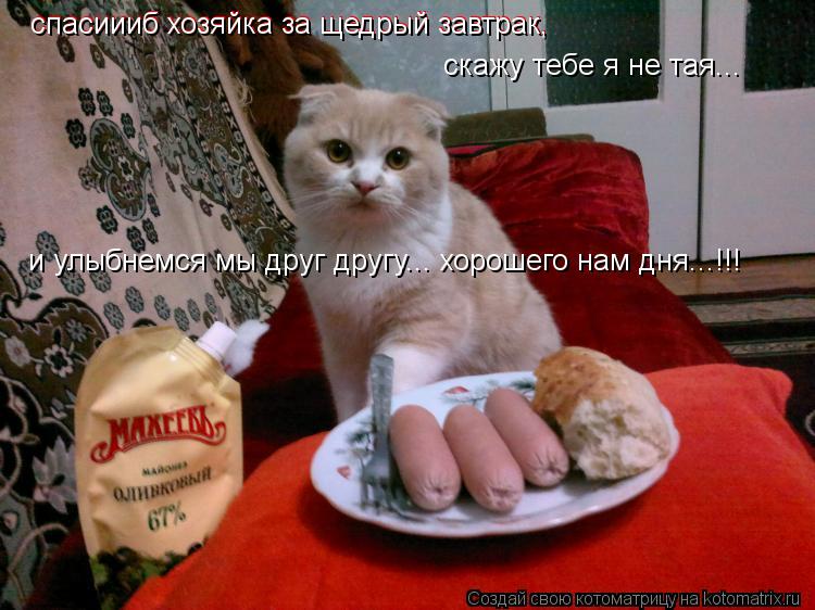 спасиииб хозяйка за щедрый завтрак, спасиииб хозяйка за щедрый завтрак, скажу тебе я не тая... и ул... Котоматрица: спасиииб хозяйка за щедрый завтрак, спасиииб хозяйка за щедрый завтрак, скажу тебе я не тая... и улыбнемся мы друг другу... хорошего нам дня...
