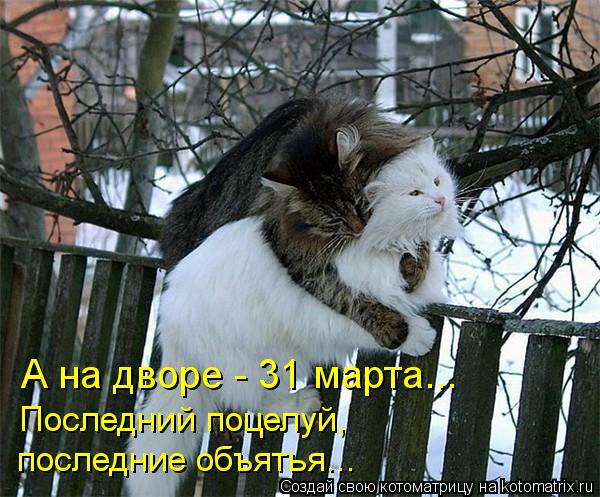 А на дворе - 31 марта... Последний поцелуй, последние объятья...... Котоматрица: А на дворе - 31 марта... Последний поцелуй, последние объятья...
