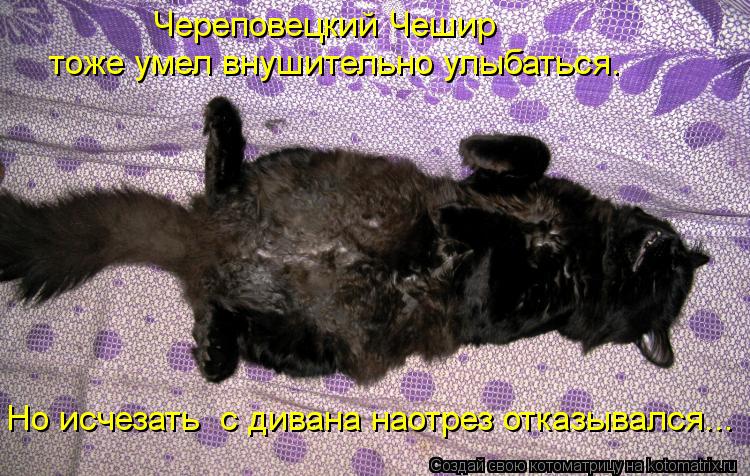 Череповецкий Чешир тоже умел внушительно улыбаться. Но исчезать с дивана наотрез отказывался...... Котоматрица: Череповецкий Чешир тоже умел внушительно улыбаться. Но исчезать с дивана наотрез отказывался...
