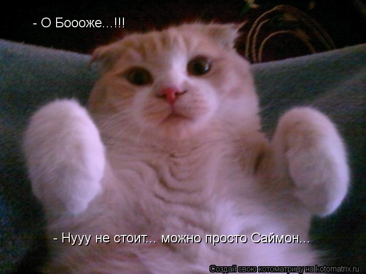 - Нууу не стоит... можно просто Саймон... - О Боооже...!!!... Котоматрица: - Нууу не стоит... можно просто Саймон... - О Боооже...!!!