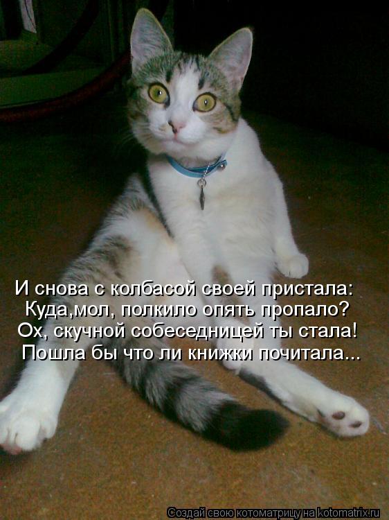 Куда,мол, полкило опять пропало? Ох, скучной собеседницей ты стала! Пошла бы что ли книжки почитала..... Котоматрица: Куда,мол, полкило опять пропало? Ох, скучной собеседницей ты стала! Пошла бы что ли книжки почитала... И снова с колбасой своей пристала: