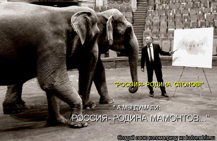 "РОССИЯ- РОДИНА СЛОНОВ!" " А МЫ ДУМАЛИ: РОССИЯ- РОДИНА МАМОНТОВ..."... Котоматрица: "РОССИЯ- РОДИНА СЛОНОВ!" " А МЫ ДУМАЛИ: РОССИЯ- РОДИНА МАМОНТОВ..."