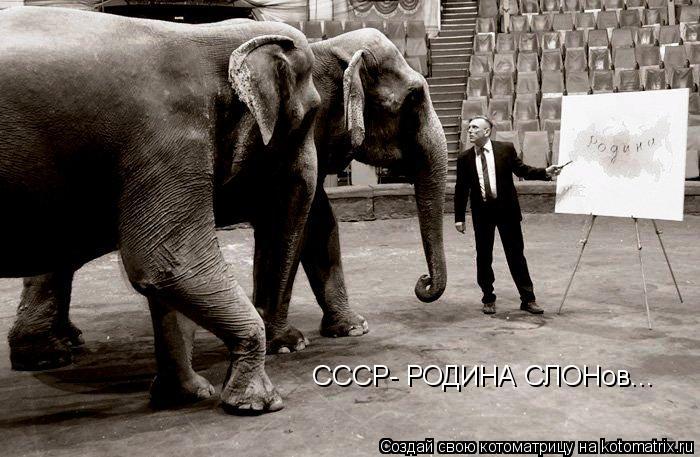 СССР- РОДИНА СЛОНов...... Котоматрица: СССР- РОДИНА СЛОНов...
