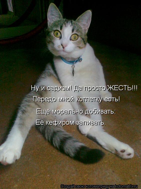 Ну и садизм! Да просто ЖЕСТЬ!!! Передо мной котлетку есть! Ещё морально добивать: Её кефиром запиват... Котоматрица: Ну и садизм! Да просто ЖЕСТЬ!!! Передо мной котлетку есть! Ещё морально добивать: Её кефиром запивать.