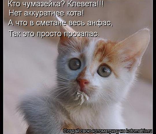 Кто чумазейка? Клевета!!! Нет аккуратнее кота! А что в сметане весь анфас, Так это просто прозапас.... Котоматрица: Кто чумазейка? Клевета!!! Нет аккуратнее кота! А что в сметане весь анфас, Так это просто прозапас.
