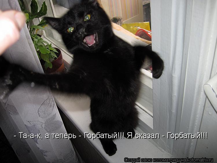 - Та-а-к, а теперь - Горбатый!!! Я сказал - Горбатый!!!... Котоматрица: - Та-а-к, а теперь - Горбатый!!! Я сказал - Горбатый!!!
