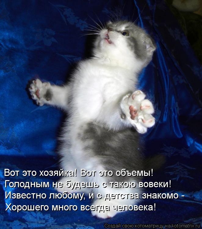 Вот это хозяйка! Вот это объемы! Голодным не будешь с такою вовеки! Известно любому, и с детства знак... Котоматрица: Вот это хозяйка! Вот это объемы! Голодным не будешь с такою вовеки! Известно любому, и с детства знакомо - Хорошего много всегда человека!