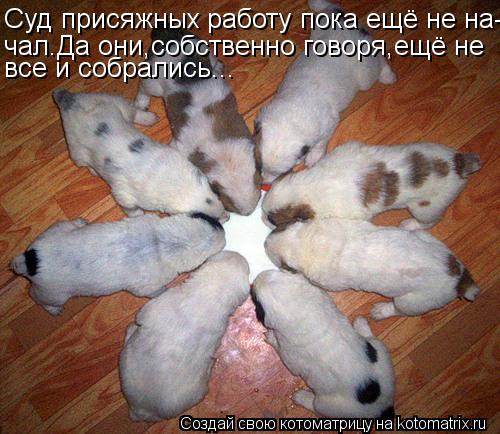 Суд присяжных работу пока ещё не на- чал.Да они,собственно говоря,ещё не все и собрались...... Котоматрица: Суд присяжных работу пока ещё не на- чал.Да они,собственно говоря,ещё не все и собрались...
