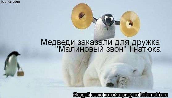 Медведи заказали для дружка "Малиновый звон" Гнатюка... Котоматрица: Медведи заказали для дружка "Малиновый звон" Гнатюка