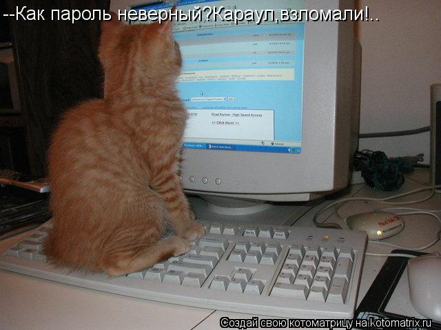 --Как пароль неверный?Караул,взломали!..... Котоматрица: --Как пароль неверный?Караул,взломали!..