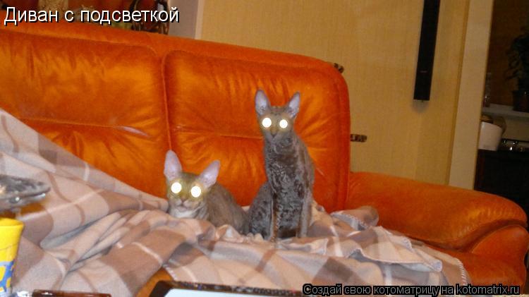 Диван с подсветкой... Котоматрица: Диван с подсветкой