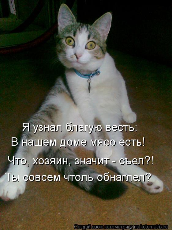 Я узнал благую весть: В нашем доме мясо есть! Что, хозяин, значит - съел?! Ты совсем чтоль обнаглел?... Котоматрица: Я узнал благую весть: В нашем доме мясо есть! Что, хозяин, значит - съел?! Ты совсем чтоль обнаглел?