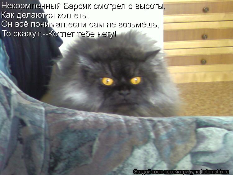Некормленный Барсик смотрел с высоты, Как делаются котлеты. Он всё понимал:если сам не возьмёшь, То с... Котоматрица: Некормленный Барсик смотрел с высоты, Как делаются котлеты. Он всё понимал:если сам не возьмёшь, То скажут:--Котлет тебе нету!