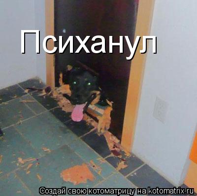 Психанул... Котоматрица: Психанул