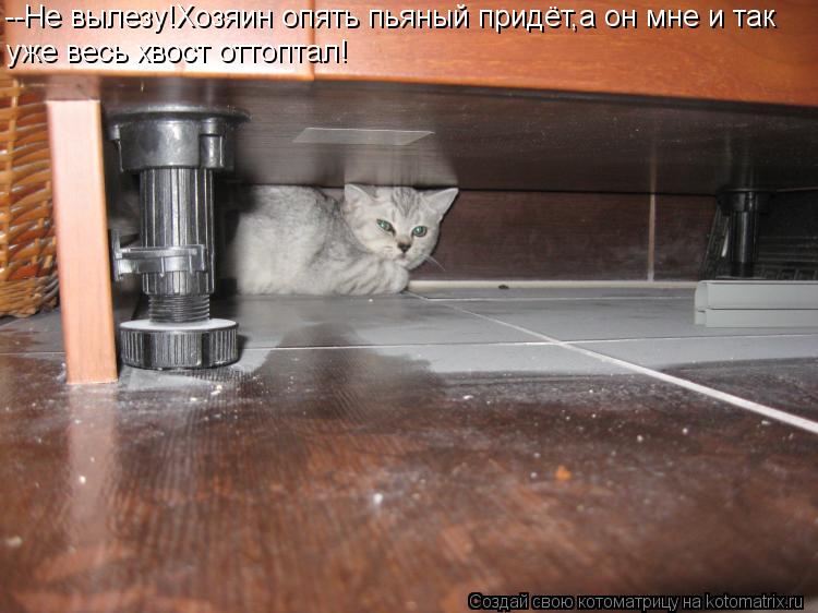 --Не вылезу!Хозяин опять пьяный придёт,а он мне и так уже весь хвост оттоптал!... Котоматрица: --Не вылезу!Хозяин опять пьяный придёт,а он мне и так уже весь хвост оттоптал!