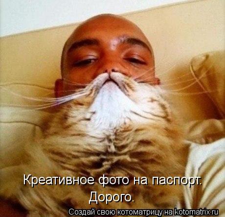 Креативное фото на паспорт. Дорого.... Котоматрица: Креативное фото на паспорт. Дорого.