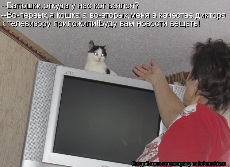 --Батюшки,откуда у нас кот взялся? --Во-первых,я кошка,а во-вторых,меня в качестве диктора к телевизо... Котоматрица: --Батюшки,откуда у нас кот взялся? --Во-первых,я кошка,а во-вторых,меня в качестве диктора к телевизору приложили!Буду вам новости вещать!