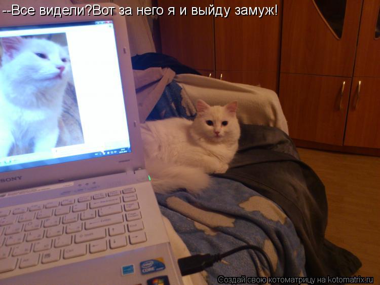 --Все видели?Вот за него я и выйду замуж!... Котоматрица: --Все видели?Вот за него я и выйду замуж!