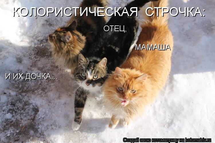 ОТЕЦ, МАМАША И ИХ ДОЧКА... КОЛОРИСТИЧЕСКАЯ СТРОЧКА:... Котоматрица: ОТЕЦ, МАМАША И ИХ ДОЧКА... КОЛОРИСТИЧЕСКАЯ СТРОЧКА: