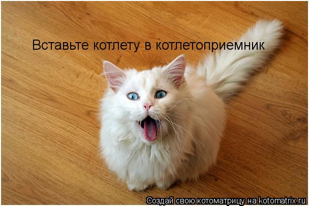 Вставьте котлету в котлетоприемник... Котоматрица: Вставьте котлету в котлетоприемник