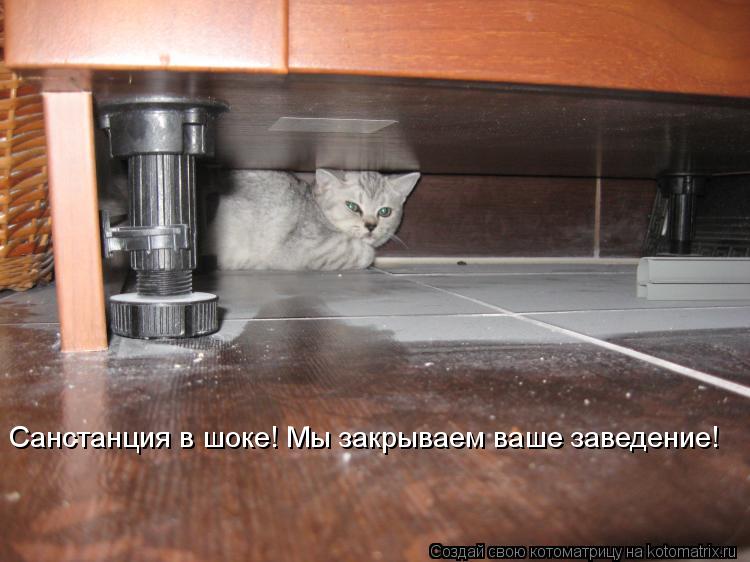 Санстанция в шоке! Мы закрываем ваше заведение!... Котоматрица: Санстанция в шоке! Мы закрываем ваше заведение!