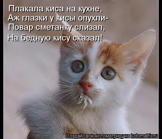 Плакала киса на кухне, Плакала киса на кухне, Аж глазки у кисы опухли- Повар сметанку слизал, На бедн... Котоматрица: Плакала киса на кухне, Плакала киса на кухне, Аж глазки у кисы опухли- Повар сметанку слизал, На бедную кису сказал!