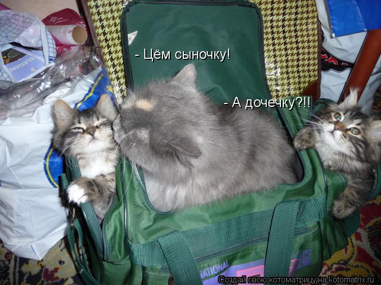 - Цём сыночку! - А дочечку?!!... Котоматрица: - Цём сыночку! - А дочечку?!!