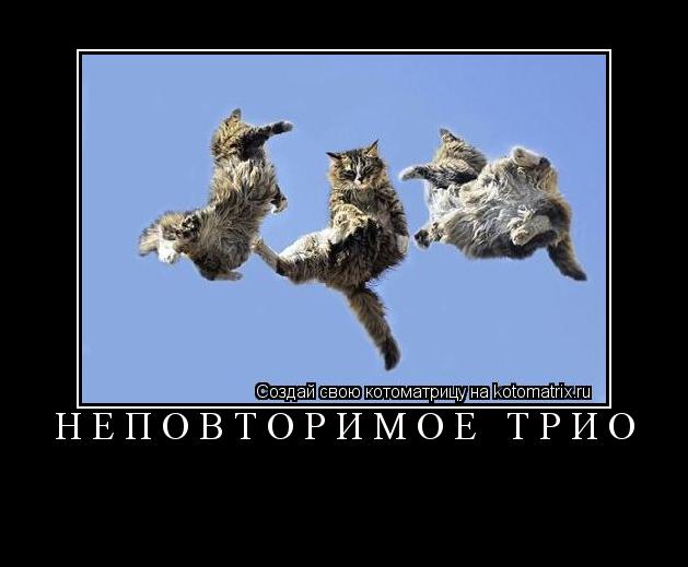 НЕПОВТОРИМОЕ ТРИО ... Котоматрица: НЕПОВТОРИМОЕ ТРИО