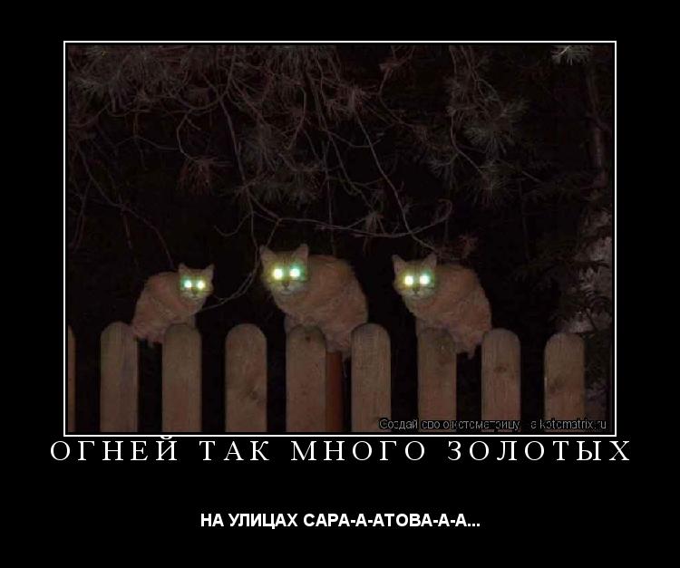 ОГНЕЙ ТАК МНОГО ЗОЛОТЫХ НА УЛИЦАХ САРА-А-АТОВА-А-А...... Котоматрица: ОГНЕЙ ТАК МНОГО ЗОЛОТЫХ НА УЛИЦАХ САРА-А-АТОВА-А-А...