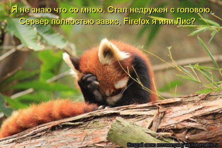 Я не знаю что со мною. Стал недружен с головою. Сервер полностью завис, Firefox я или Лис?... Котоматрица: Я не знаю что со мною. Стал недружен с головою. Сервер полностью завис, Firefox я или Лис?