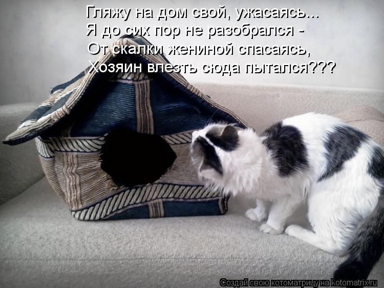 Гляжу на дом свой, ужасаясь... Я до сих пор не разобрался - От скалки жениной спасаясь, Хозяин влезть... Котоматрица: Гляжу на дом свой, ужасаясь... Я до сих пор не разобрался - От скалки жениной спасаясь, Хозяин влезть сюда пытался???