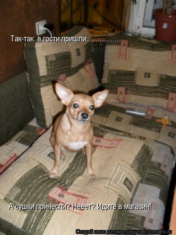 Так-так в гости пришли................... А сушки принесли? Нееет? Идите в магазин!... Котоматрица: Так-так в гости пришли................... А сушки принесли? Нееет? Идите в магазин!
