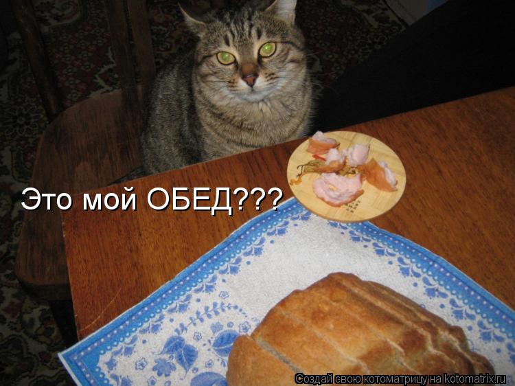 Это мой ОБЕД???... Котоматрица: Это мой ОБЕД???